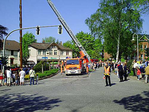 Maibaumfest-Reinbek