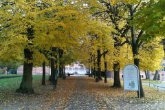 Schloss Reinbek im Herbst