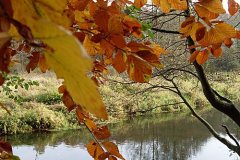 Bille-Reinbek-Herbst