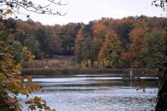 Herbst-Tonteich