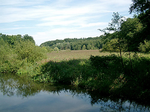 Die Bille an der Bauerbruecke in Reinbek