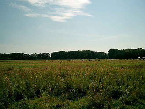 Wentorfer Lohe - bei reinbek Wentorf