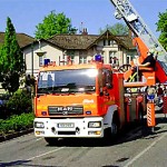 reinbek-maibaum-2