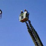 reinbek-maibaum-3