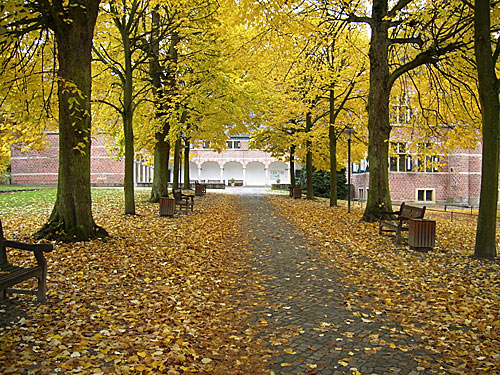 Schloss Reinbek im Herbst