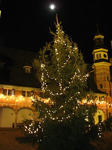 Weihnachtsbaum