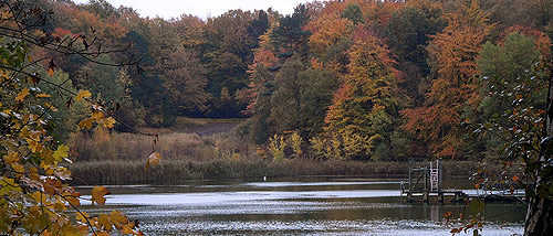 Tonteich Herbst in Reinbek - Herbstbilder