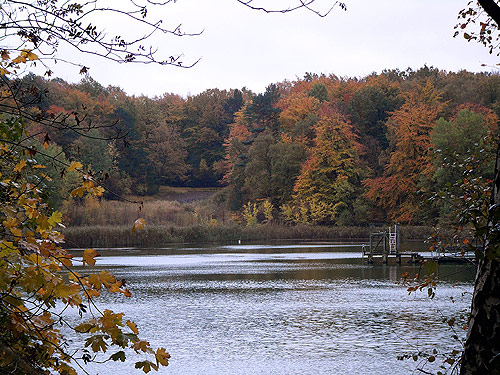 Herbst in Reinbek - Herbstbilder