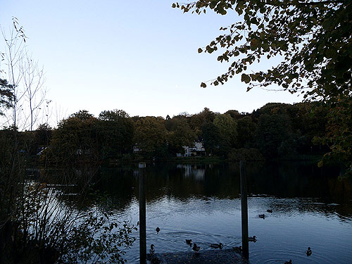 Muehlenteich-Reinbek Herbst