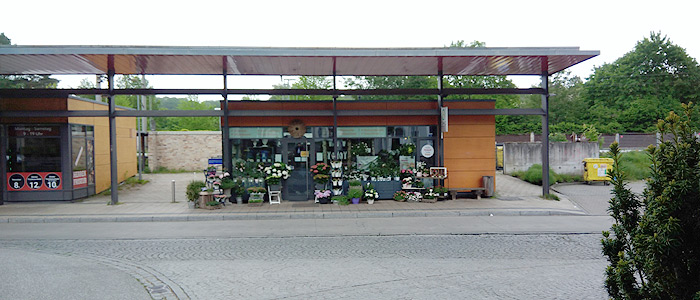 Blumenladen Reinbek Bahnhof