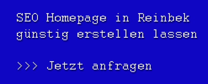 Homepage Erstellung in Reinbek SEO Website für mehr Umsatz